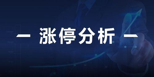 财经新闻最新爆料,重磅！财经新闻最新爆料揭示行业变革新动向  第3张