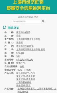 吃网红瓜网址,探寻网络热点背后的真相与秘密