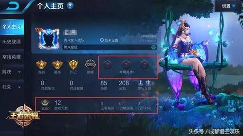 王者之隐最新爆料视频,揭秘最新爆料视频中的神秘元素与精彩瞬间  第3张