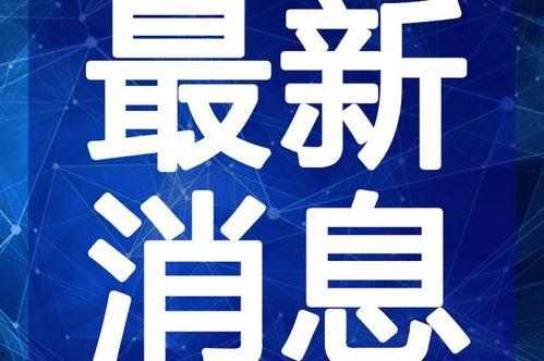 杨毅赵丽颖最新爆料视频,揭秘娱乐圈幕后真相  第2张